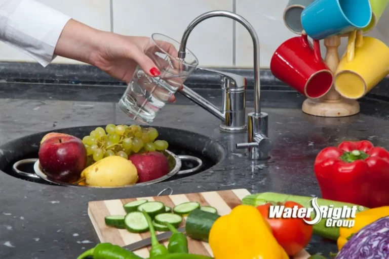 This Autumn, Fall in Love With Reverse Osmosis