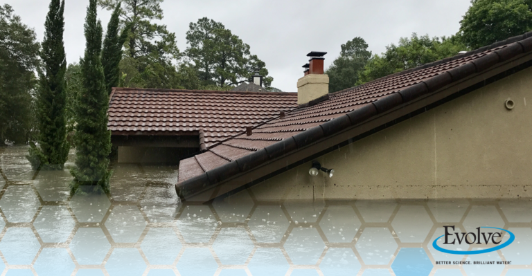 Flooding and Your Water Quality